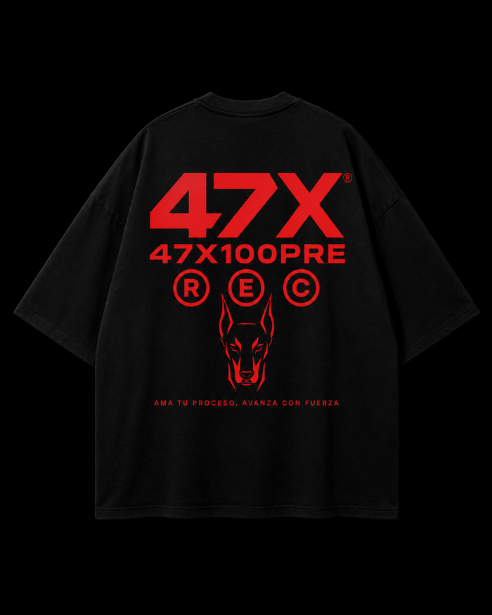 47<3 REC